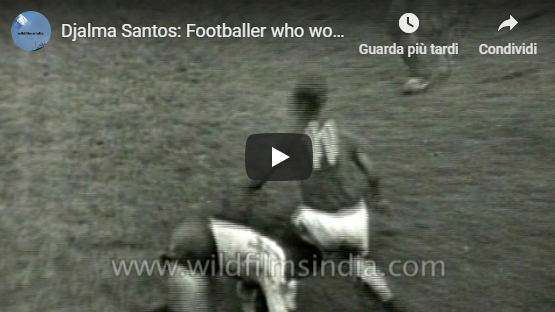 Accadde oggi calcio 21 gennaio 1971: addio al calcio di Djalma Santos